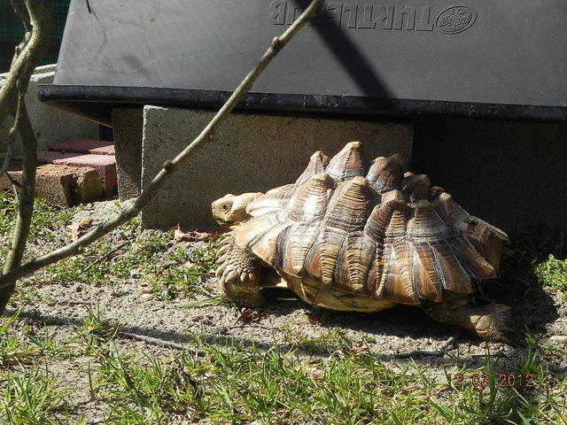 DSCN4578