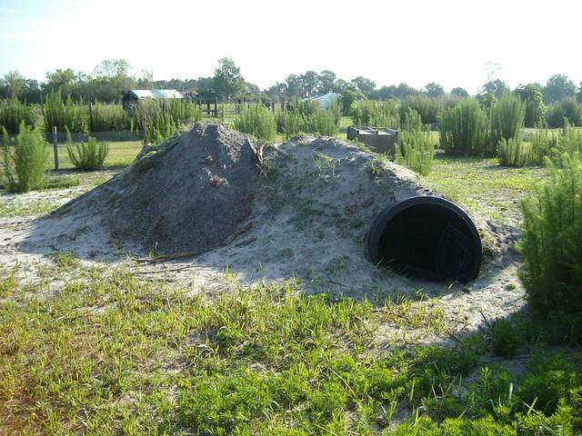 Kim I tort tunnel