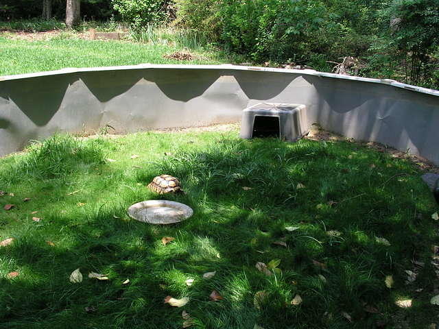 Pool wall enclosure