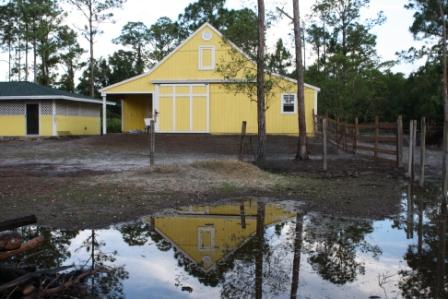 Sandi s barn