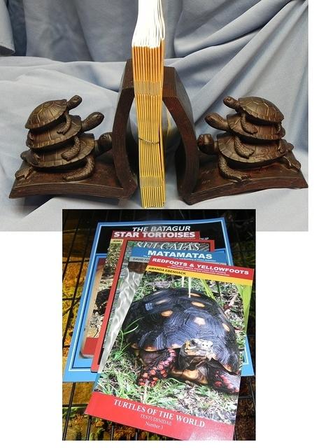 Books and book ends