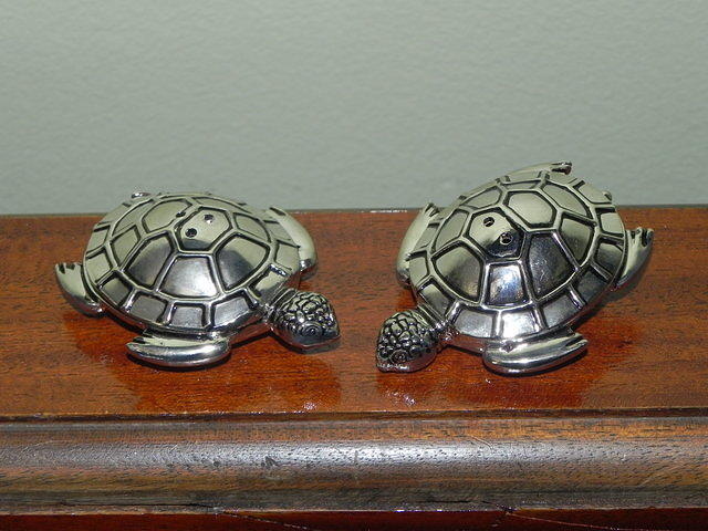 Lovely Silver Turtle Salt & Pepper Shaker Set