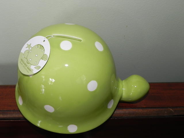Turtle Savings Bank