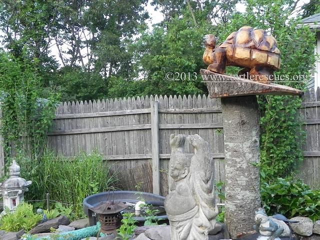 Carved tortoise perched