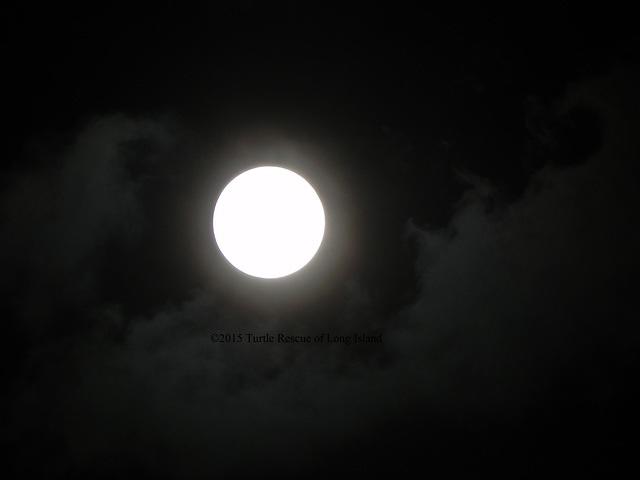 Moon before eclipse Sept 2015