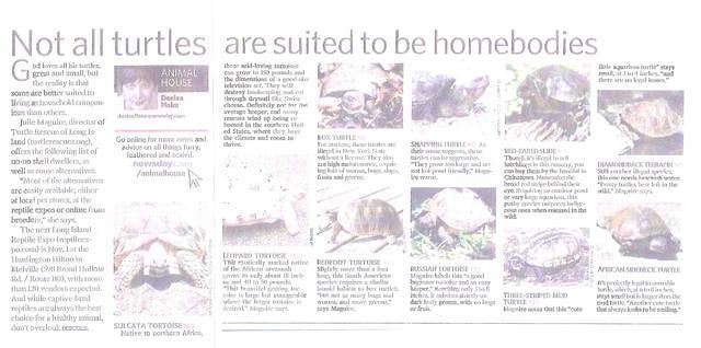 Newsday article August 08 complete