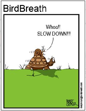 Slow Down 