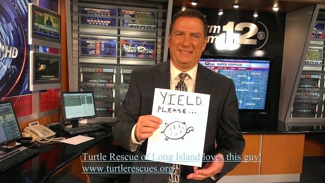 Turtle Yield with TRLI
