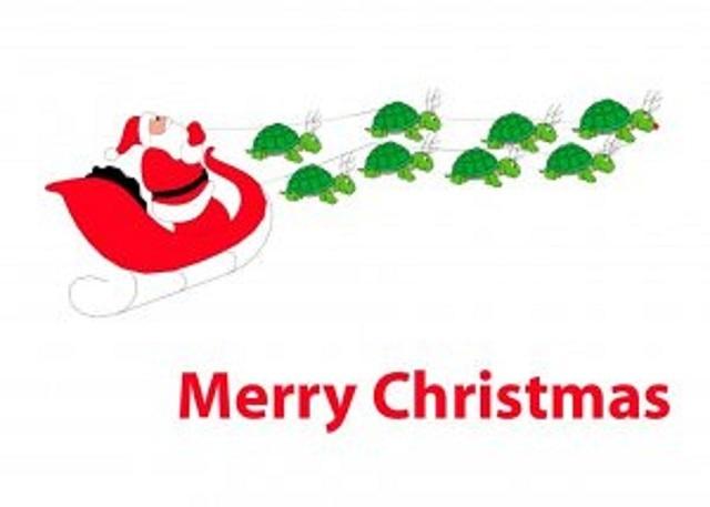 santa sled turtles
