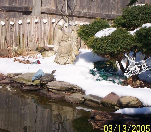 Spring slider