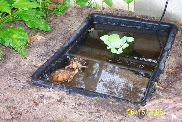Cement mixing tub