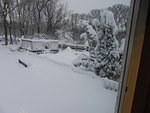 DSCN0134