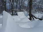 DSCN0169