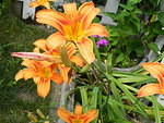 DSCN2573