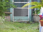 Board across enclosure opening.