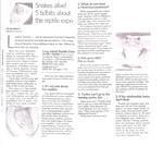 LI Expo Newsday article Oct 2009