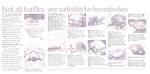 Newsday article August 08 complete