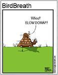 Slow Down 